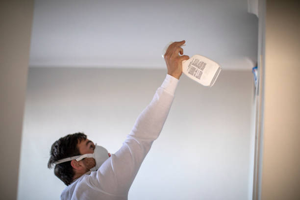 Best Residential Mold Remediation in Manito, IL