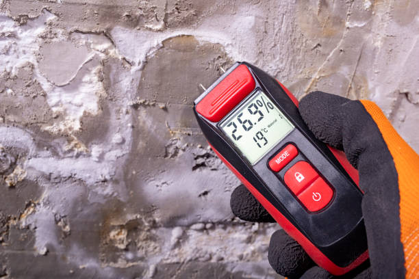 Best Post-Remediation Services in Manito, IL