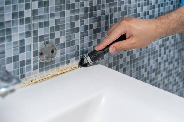 Best Mold Testing and Inspection Services in Manito, IL