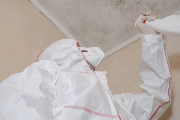 Best Industrial Mold Remediation in Manito, IL