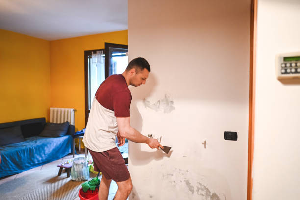 Best Emergency Mold Remediation in Manito, IL